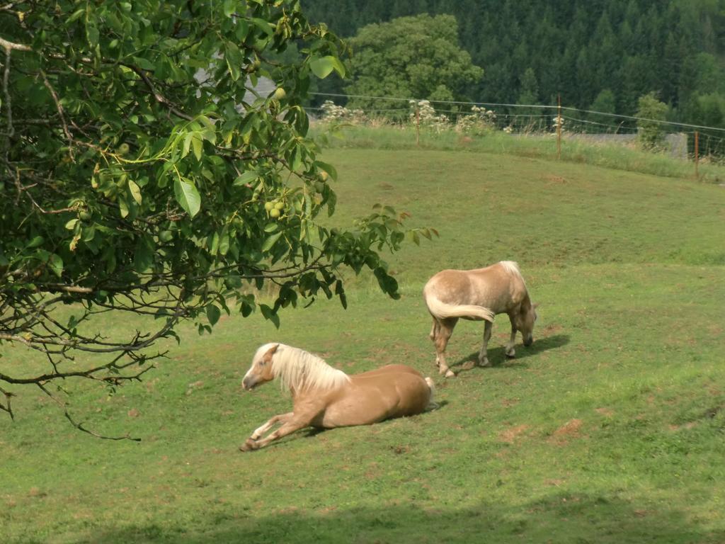 Ferienwohnungen Jodlbauerhof Weyregg Luaran gambar